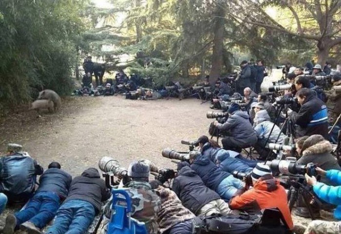 rođen da bude slavan..