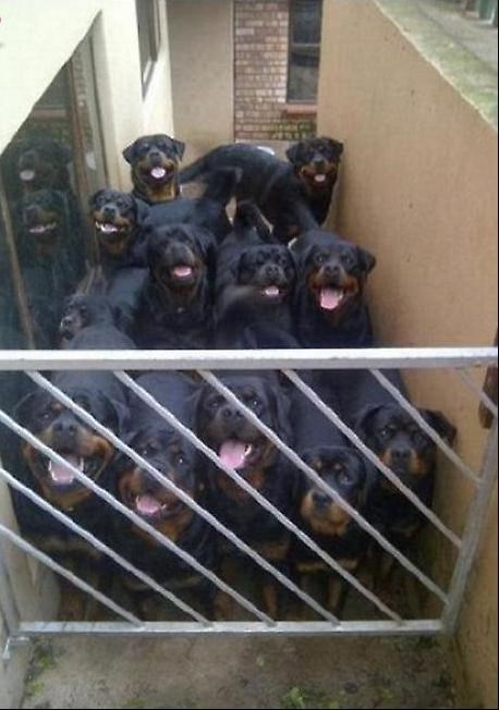 vrijeme za poštara..?!