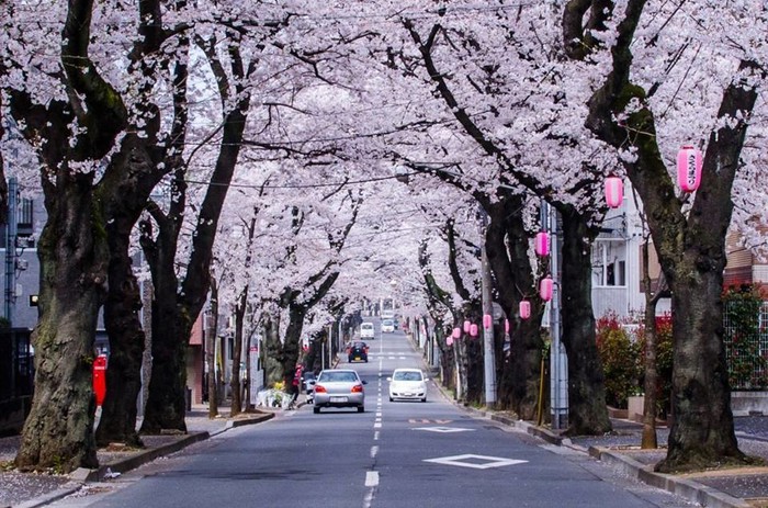 Ulice Japana..