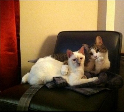 slika za obiteljski album..:)