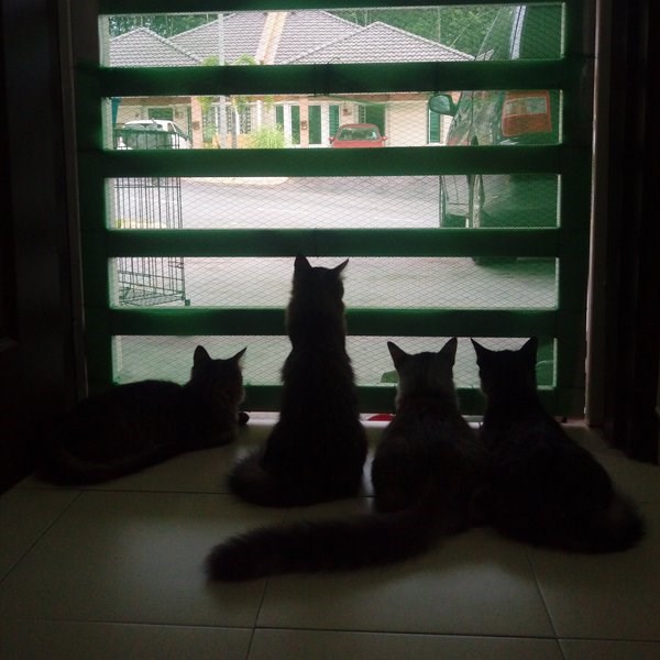 nadzorni sistem IV klase..