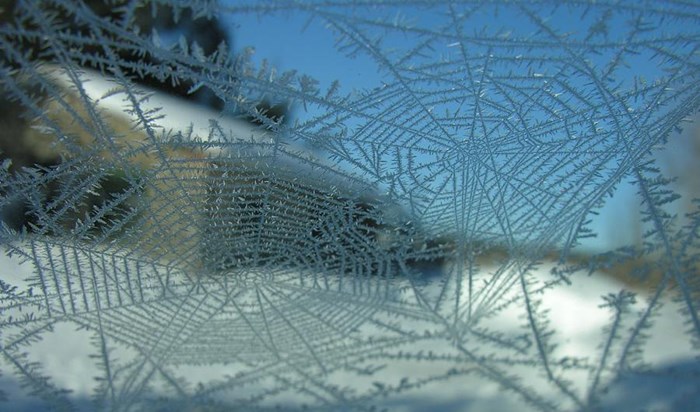 Smrznuta paukova mreža