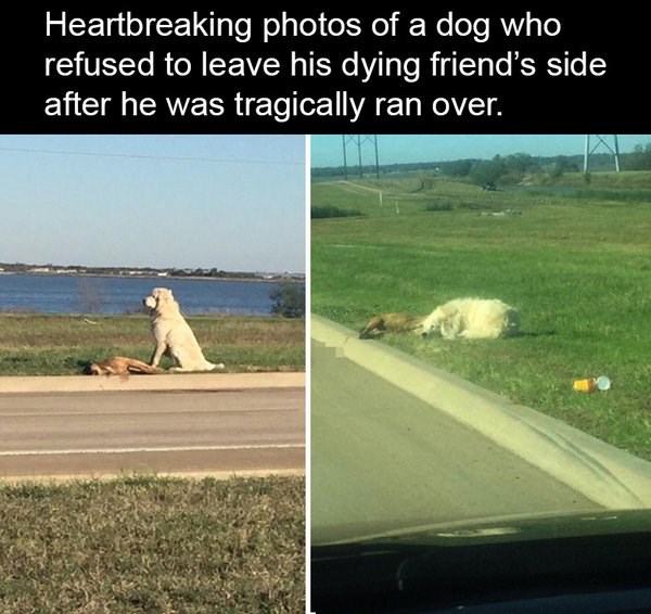 nema lijeka za tugu..