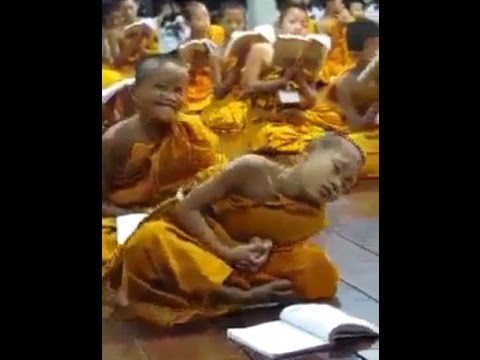 meditacija ili običan umor, hm ?? nadamo se da će se uspjeti oduprijeti snu..:))video