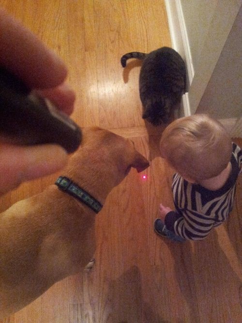 laser - zabava za cijelu obitelj :)))