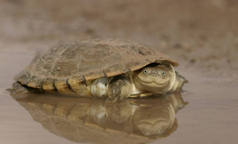 smajlić za fotografa..