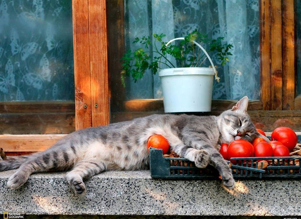 savršeni spoj flore, faune i objektiva..:))