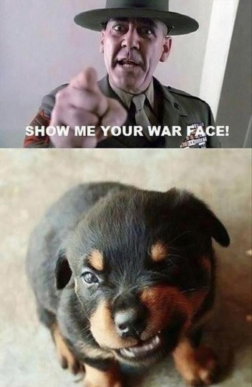 Prirodni talent..:))