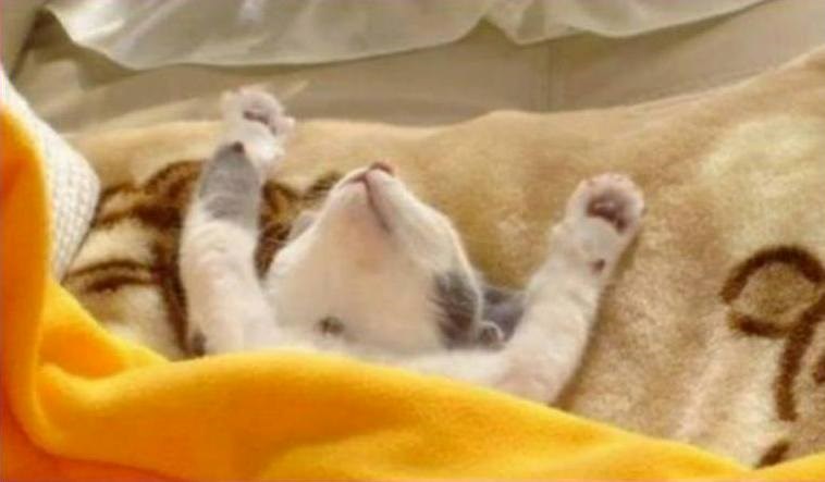 buđenje neradnim danom..