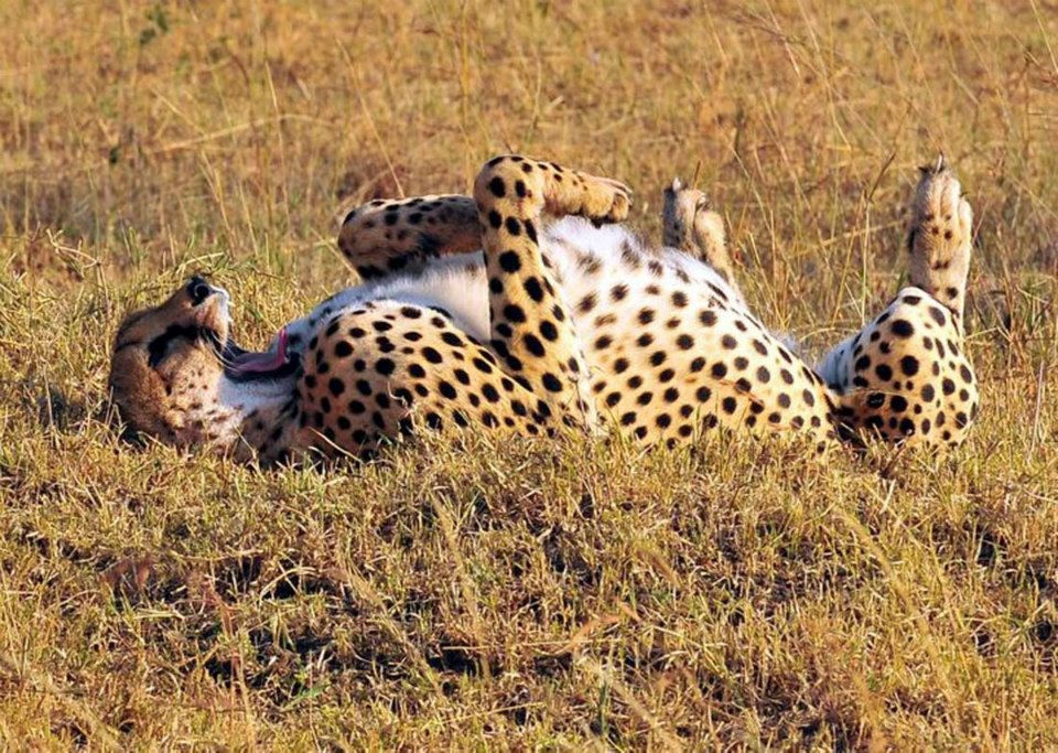 jutarnje pospano rastezanje..