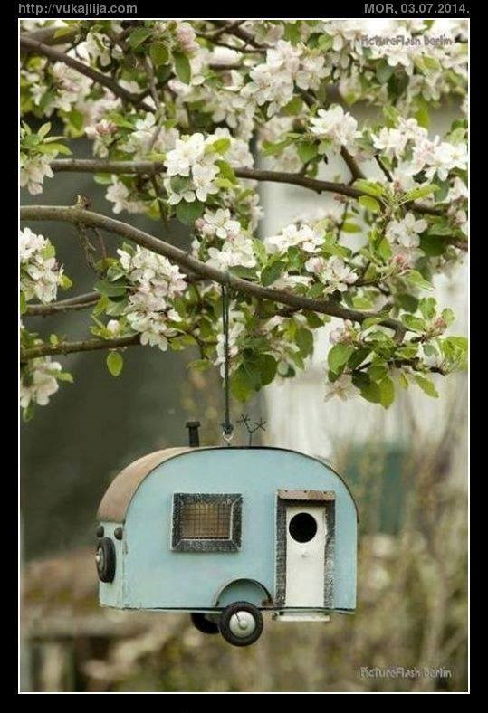 isključivo za ptice selice..:)))