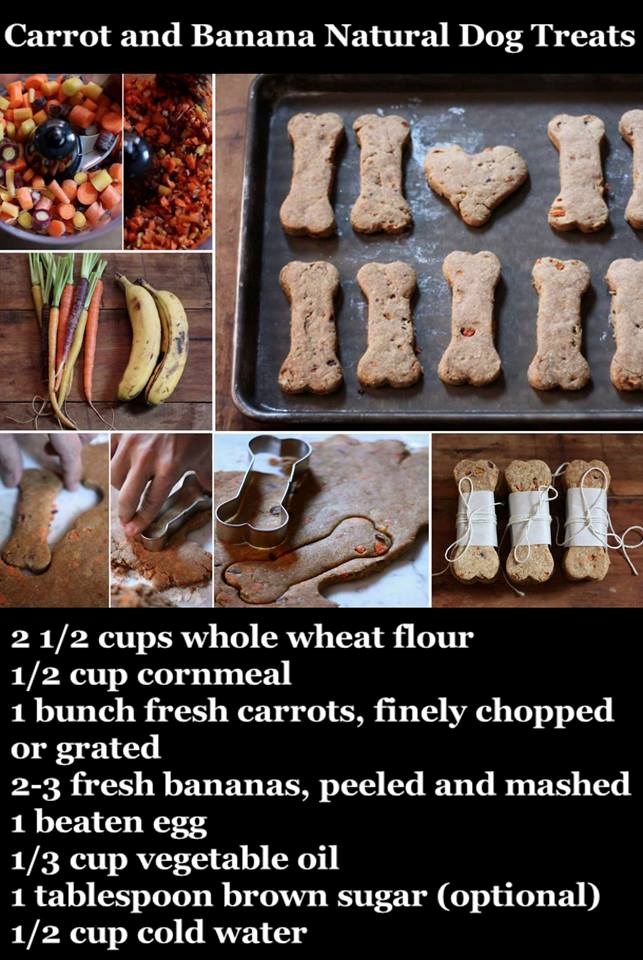 recepti za svaki dan..