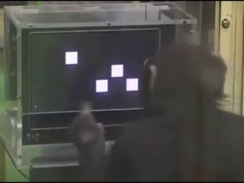vizualna memorija čimpanze..video