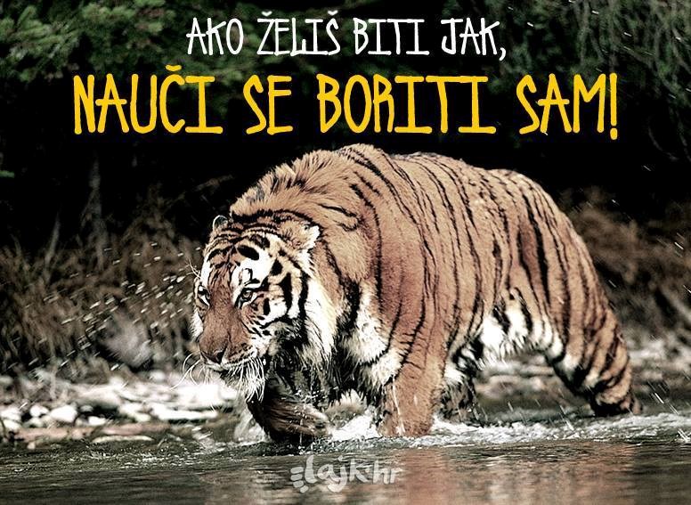 nije da nije..upravo tako