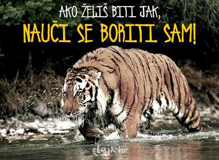 nije da nije..upravo tako