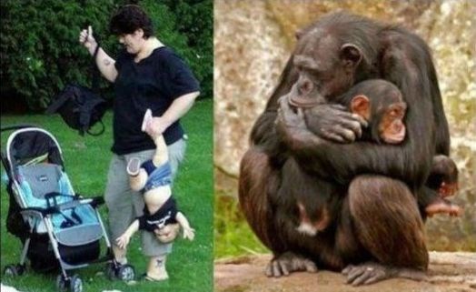 neki to jednostavno rade bolje..