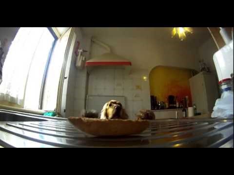 pogledavanje preko ramena odaje činjenicu da se radi o profesionalcu..video :)))