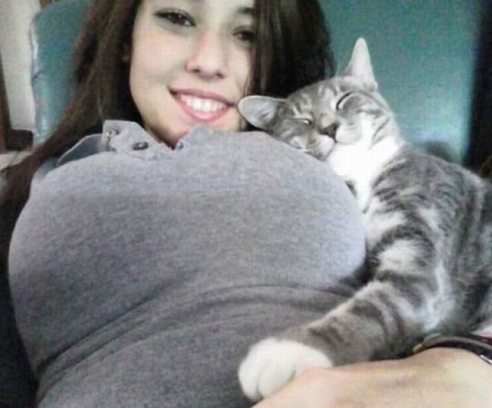 udobno je, a i snovi su ljepši..