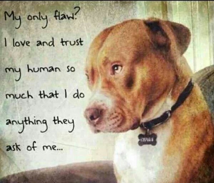 istina..