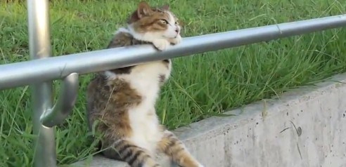 u iščekivanju vikenda..