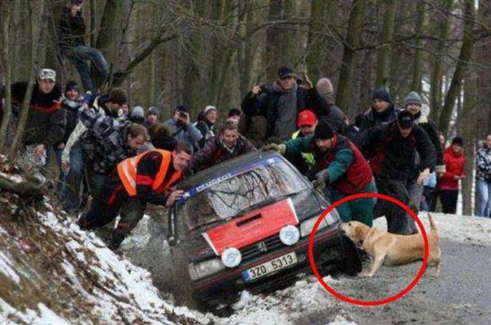 legenda..:)))
