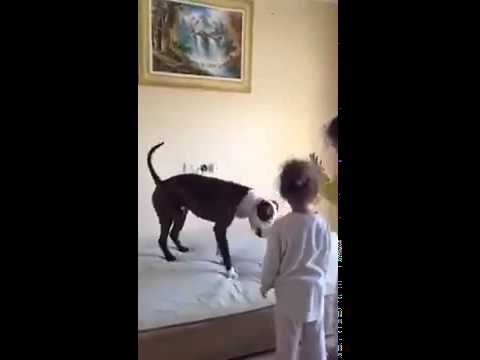 ovdje se uistinu ne može odrediti tko je veće dijete..video