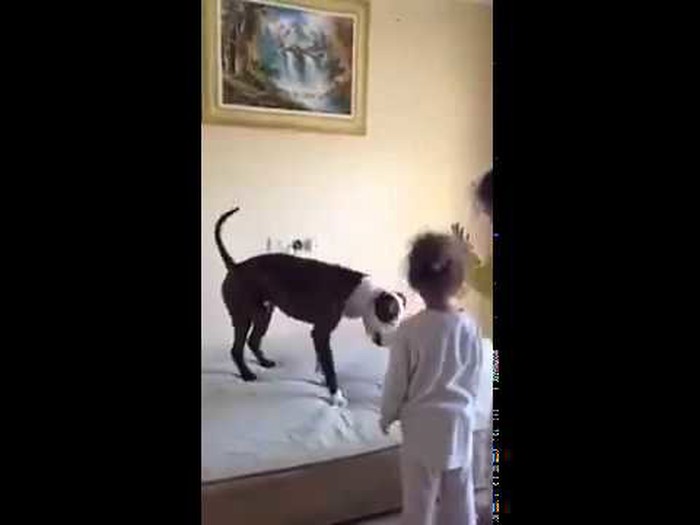 ovdje se uistinu ne može odrediti tko je veće dijete..video