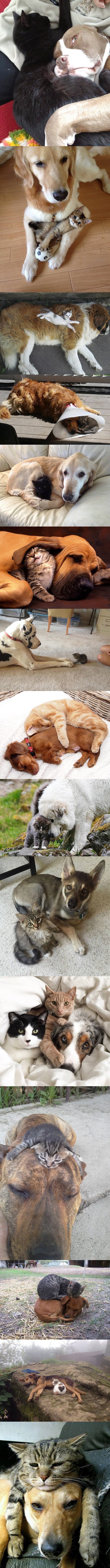 kad bih slikom morao opisati prijateljstvo..:))