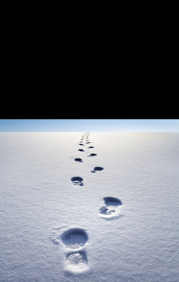 rebus !!!..zna li netko rješenje ??