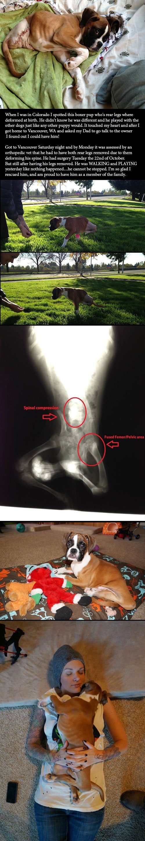 "čovjek samo srcem dobro vidi"..- Mali Princ..
