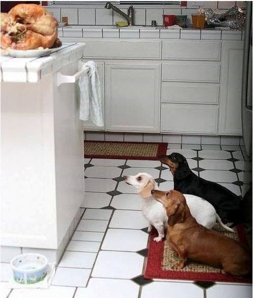 počasna straža..:))