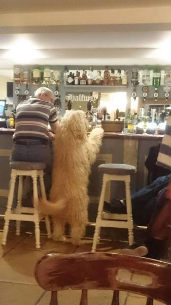 tip došao sa frendom na piće..