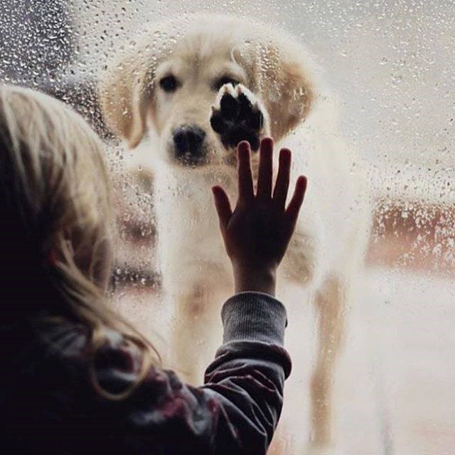 treba li išta dodati..