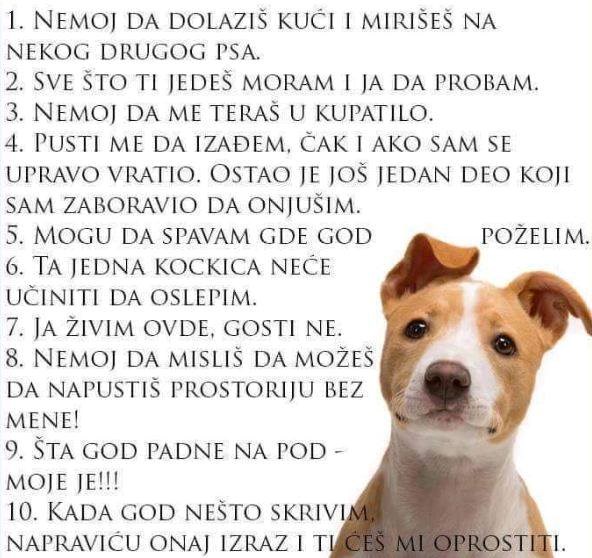nekoliko jednostavnih pravila..