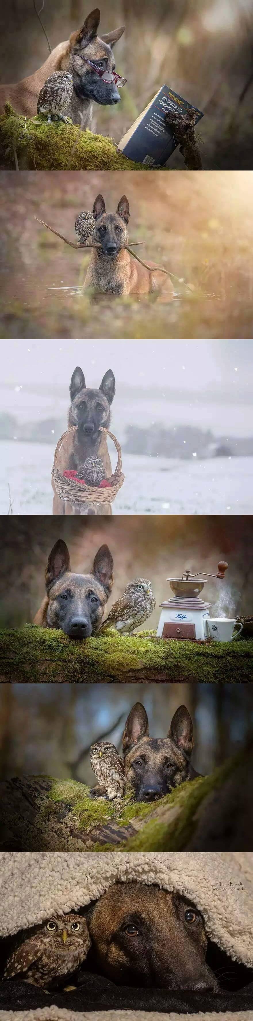 u dobrom društvu..:))