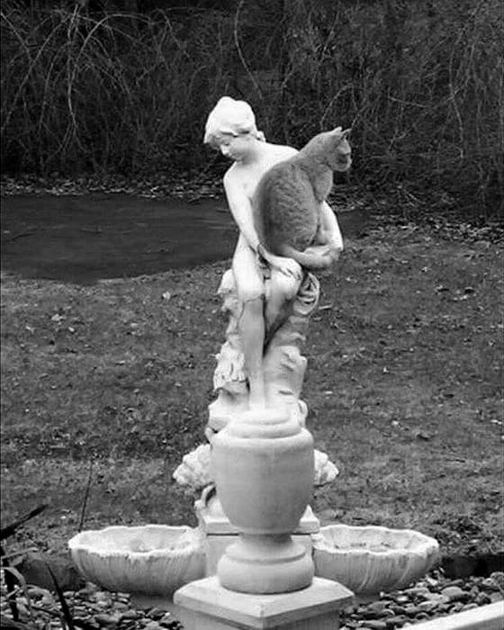 ma daj mi malo pažnje..