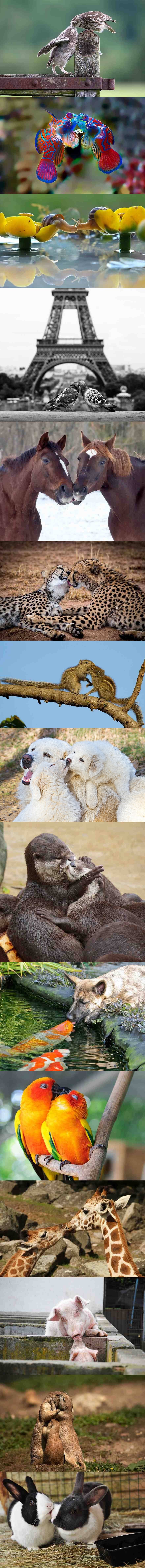 ljubav..svima tako potrebna..