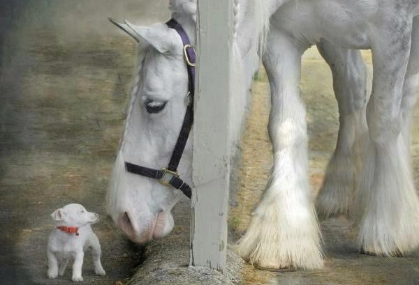 hej braco, a zašto si ti tako malen..:))