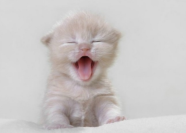 a što reći, osim L.n.:))