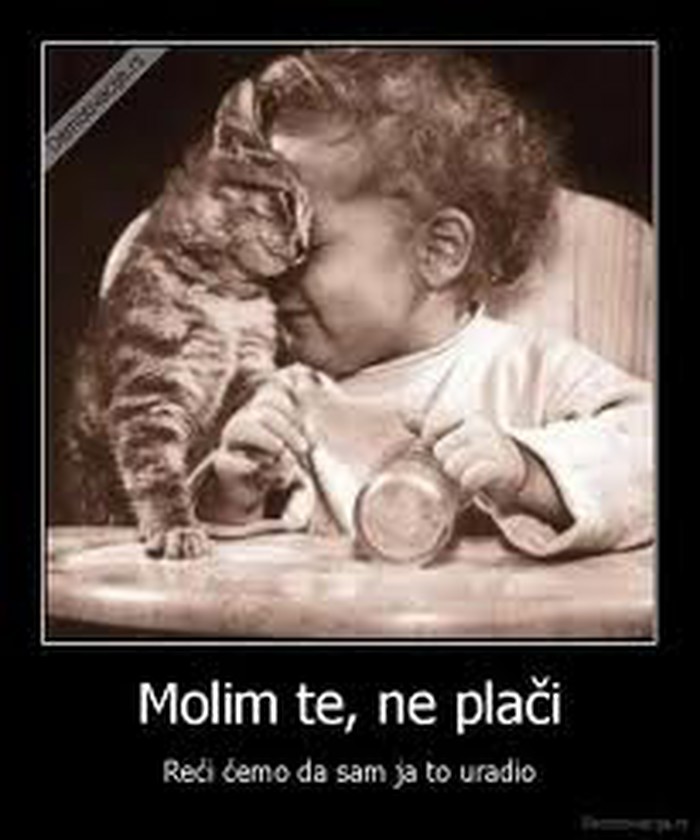 prijatelj