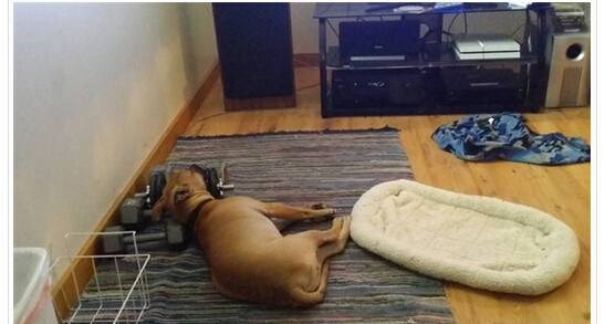 zar radije uteg pod glavom nego mekani jastuk..