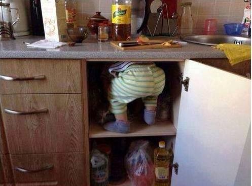 u potrazi za kolačima..