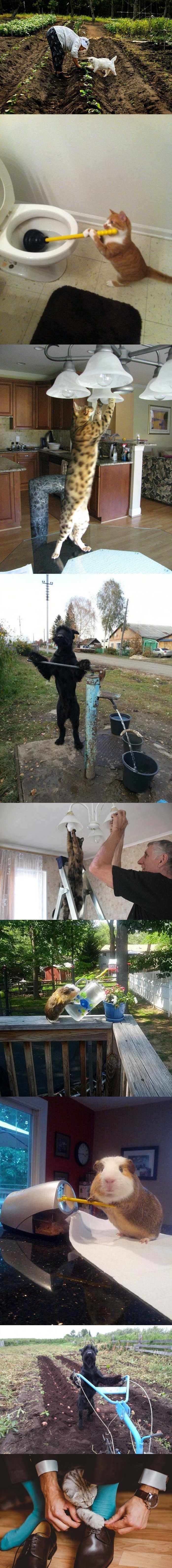 tako to rade Pravi prijatelji..