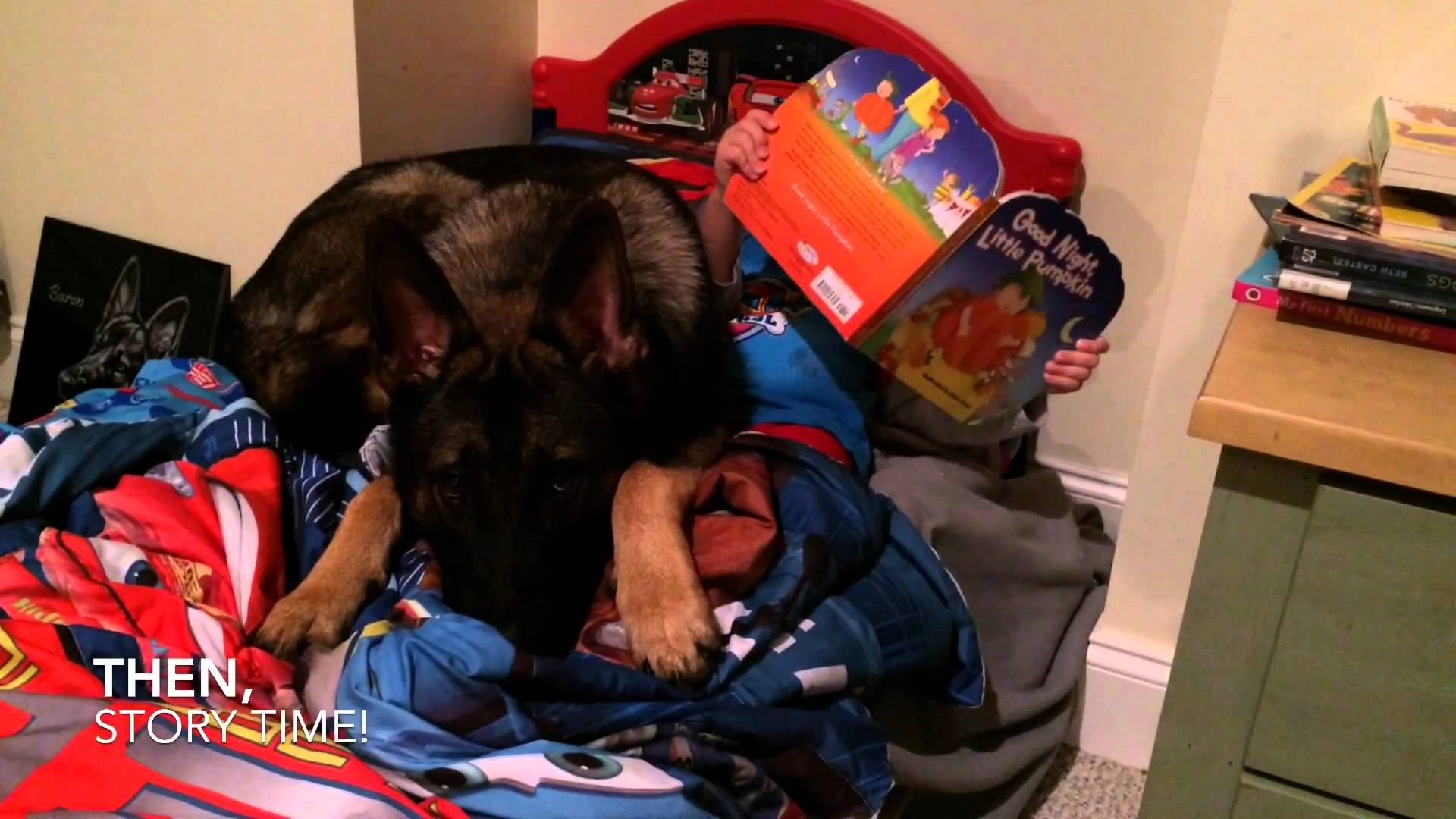 jao, jao..pa tko ga ne bi poželio..video