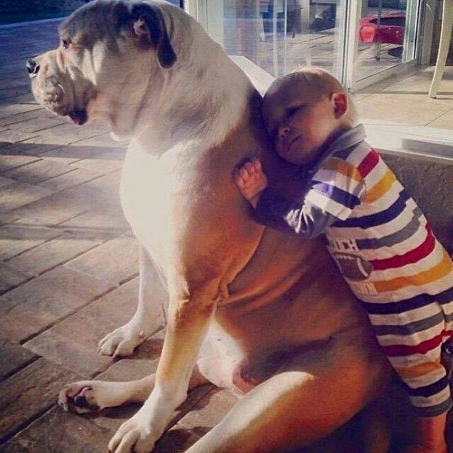 jao, jao kako ja tebe volim..