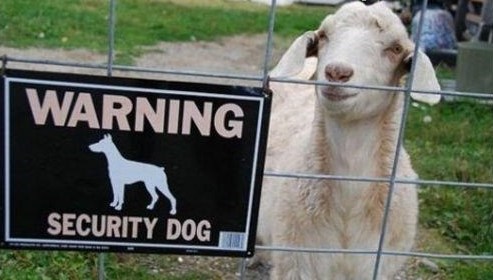 ovako se i u Hrvatskoj dijeli posao..