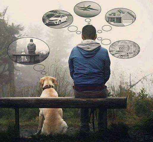 sva vrijednost života..