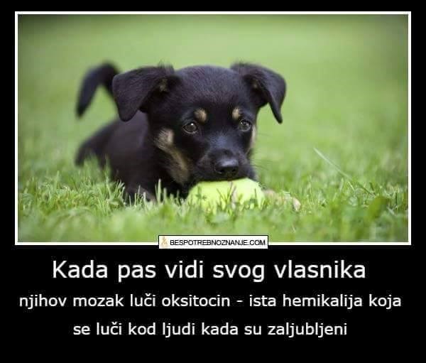 ma, što bi mi bez njih..