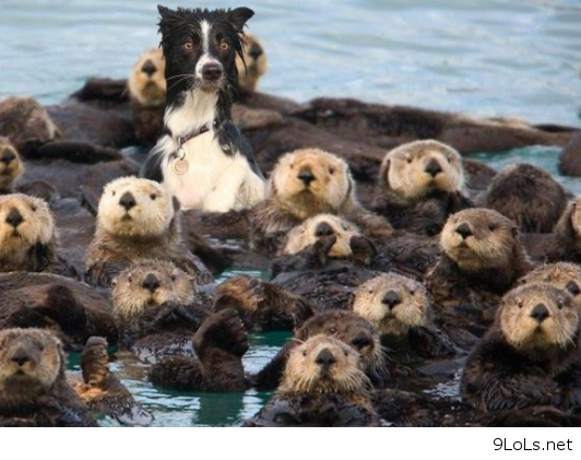 jutro nakon bančevanja..