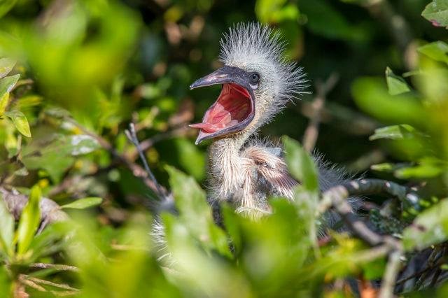 Ponedjeljak ujutro..:))